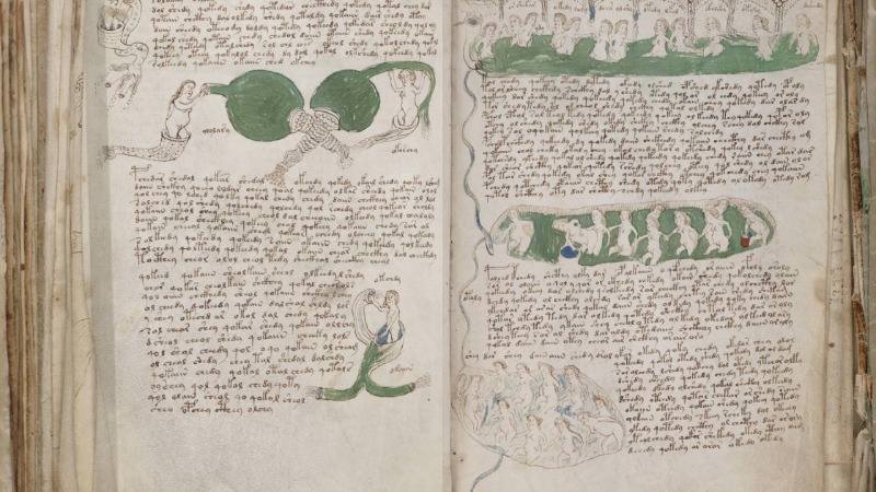 The Voynich Manuscript