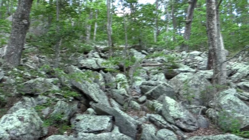 moon-eyed people of fort mountain georgia wall