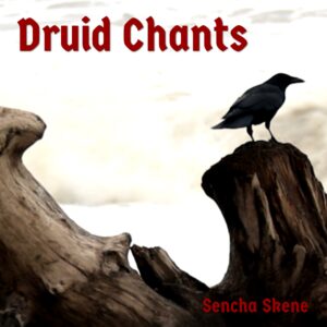 Druid Chants by Sencha Skene