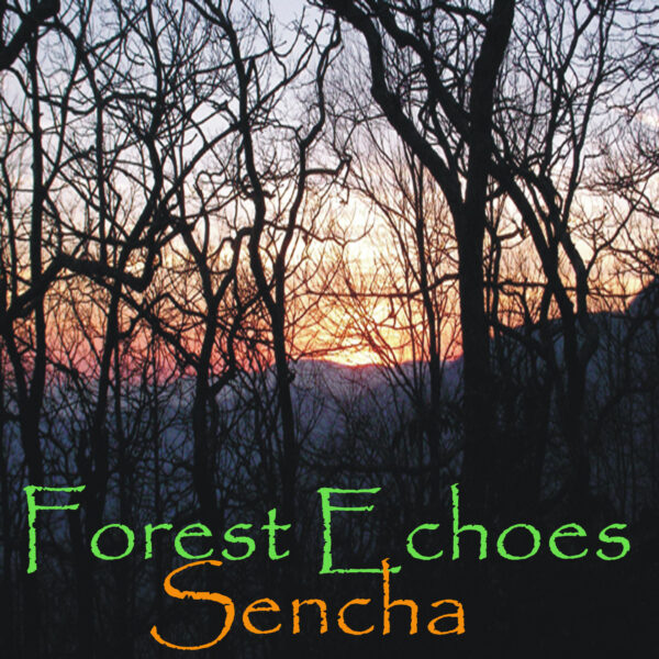 Forest Echoes by Sencha Skene